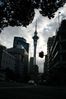 Auckland1_0016.jpg