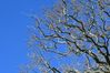 Auckland2_0028.jpg
