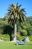 Auckland2_0047.jpg